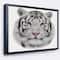 Designart - White Bengal Tiger - Animal Art On Canvas in Black Frame